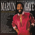 Marvin Gaye - Every Great Motown Hit Of Marvin Gaye: 15 Spectacular Performances - LP [ Record ]