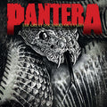 Pantera - The Great Southern Outtakes - LP [ Record ]