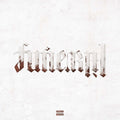 Lil Wayne - Funeral - LP [ Record ]