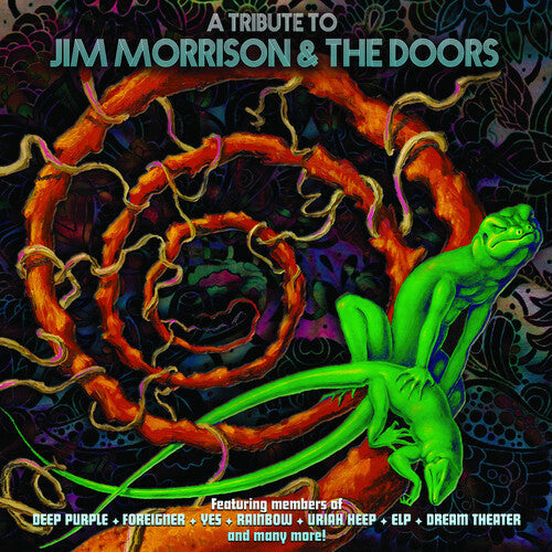 Various Artists - A Tribute To Jim Morrison & The Doors - LP [ Record ]