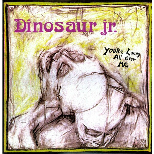 Dinosaur Jr. - You're Living All Over Me - LP [ Record ]