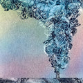 Daughn Gibson - Carnation - LP [ Record ]
