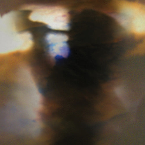 Animal Collective - Fall Be Kind - 12" EP [ Record ]