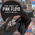 Pink Floyd - A Foot In The Door (The Best Of Pink Floyd) - LP [ Record ]
