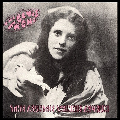 The Bevis Frond - Auntie Winnie Album - LP [ Record ]