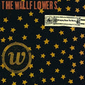 The Wallflowers - Bringing Down the Horse - LP [ Record ]