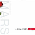 Thirty Seconds to Mars - A Beautiful Lie - LP [ Record ]