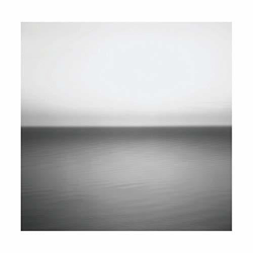 U2 - No Line On The Horizon - LP [ Record ]