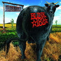 Blink-182 - Dude Ranch - LP [ Record ]