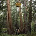 Djds - Stand Up and Speak - LP [ Record ]