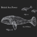 British Sea Power - Sea of Brass - LP [ Record ]