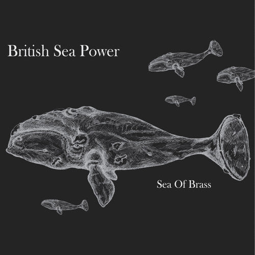 British Sea Power - Sea of Brass - LP [ Record ]
