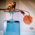 Beirut - Gallipoli - Indie LP [ Record ]