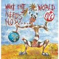 Public Image Ltd - What the World Needs Now - LP [ Record ]
