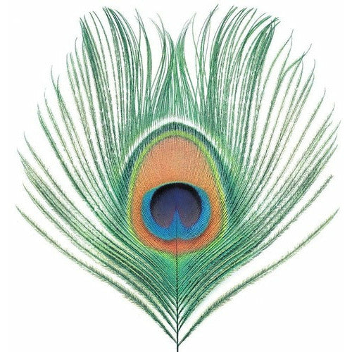 XTC - Apple Venus Vol. 1 - LP [ Record ]