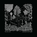 Dead Can Dance - Garden Of The Arcane Delight + Peel Sessions - LP [ Record ]