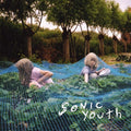 Sonic Youth - Murray Street - LP [ Record ]
