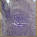 Young & Heartless - Stay Away - LP [ Record ]