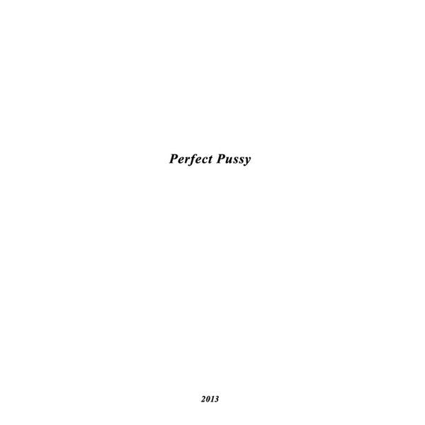 Perfect Pussy - I Have Lost All Desire for Feeling - 12" EP [ Record ]
