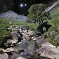 The Beta Band - The Beta Band - LP [ Record ]