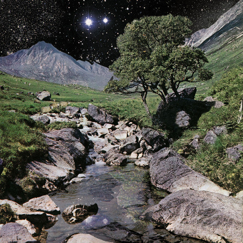 The Beta Band - The Beta Band - LP [ Record ]