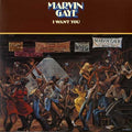 Marvin Gaye - I Want You - LP [ Record ]
