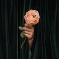 Marian Hill - Unusual - LP [ Record ]