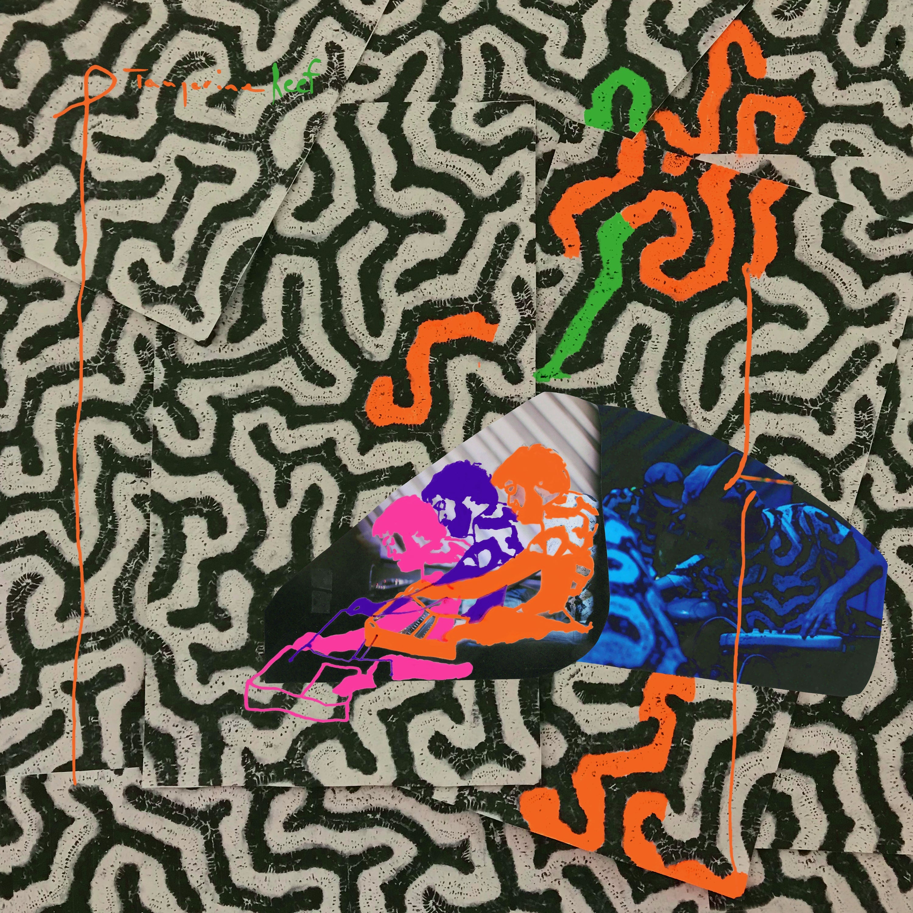 Animal Collective - Tangerine Reef - LP [ Record ]