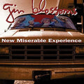 Gin Blossoms - New Miserable Experience - LP [ Record ]