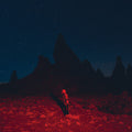 Phoebe Bridgers - Punisher - LP [ Record ]