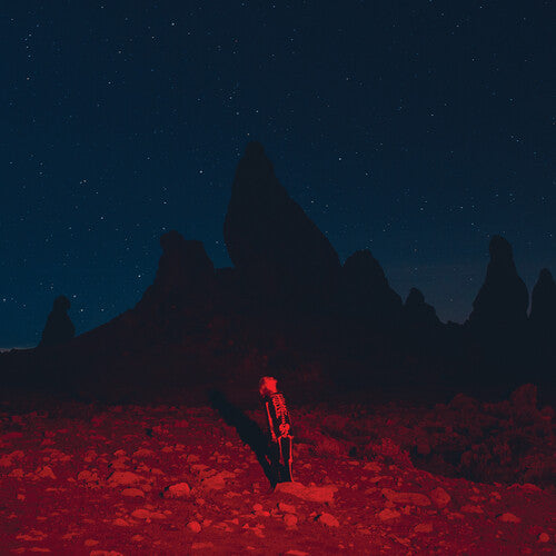 Phoebe Bridgers - Punisher - LP [ Record ]