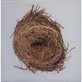 Wilco - A Ghost Is Born - LP [ Record ]