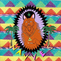 Wavves - King of the Beach - LP [ Record ]