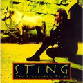 Sting - Ten Summoner's Tales - LP [ Record ]
