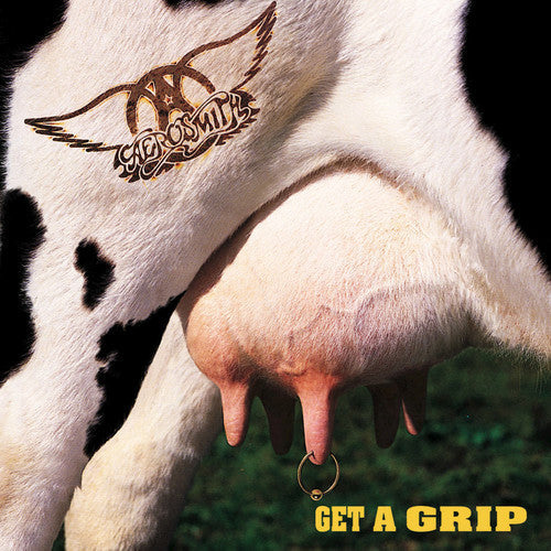 Aerosmith - Get A Grip - LP [ Record ]