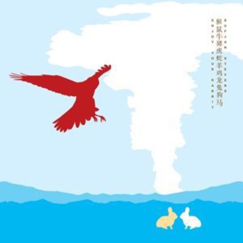 Sufjan Stevens - Enjoy Your Rabbit - LP [ Record ]