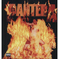 Pantera - Reinventing the Steel - LP [ Record ]