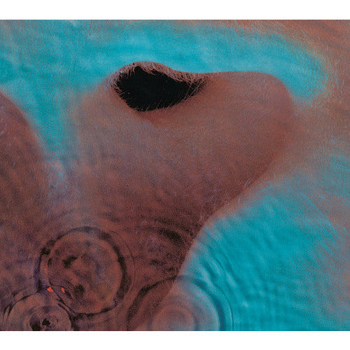 Pink Floyd - Meddle - LP [ Record ]