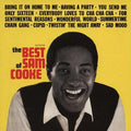 Sam Cooke - The Best Of Sam Cooke - Analogue Productions LP [ Record ]