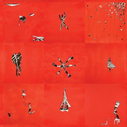 Animal Collective - Hollinndagain - LP [ Record ]