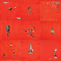 Animal Collective - Animal Collective - LP [ Record ]