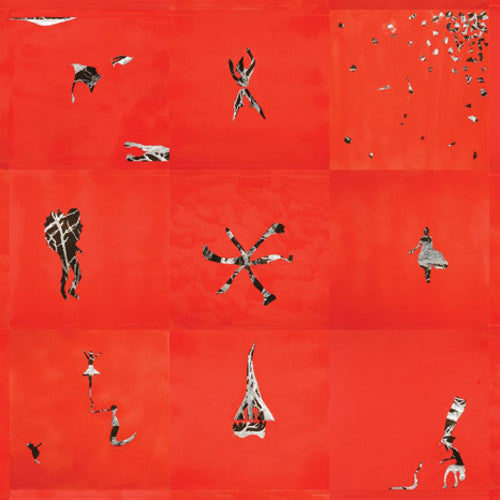 Animal Collective - Animal Collective - LP [ Record ]