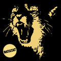 Ratatat - Classics - LP [ Record ]