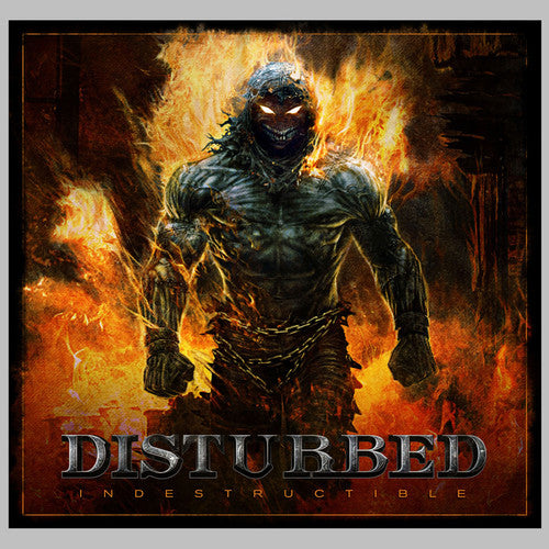 Disturbed - Indestructible - LP [ Record ]