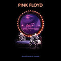 Pink Floyd - Delicate Sound Of Thunder - LP [ Record ]