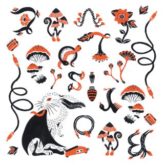 Boris - Love & Evol - LP [ Record ]