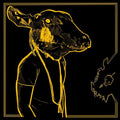 Shakey Graves - Roll The Bones X - LP [ Record ]