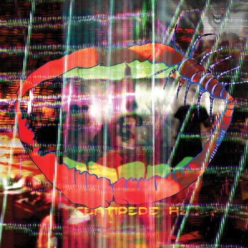 Animal Collective - Centipede HZ - LP [ Record ]