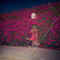 Feist - Pleasure - LP [ Record ]