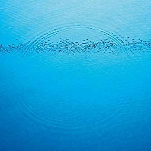 Caribou - Suddenly - LP [ Record ]